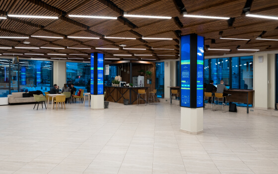 Цифровое Деловое Пространство