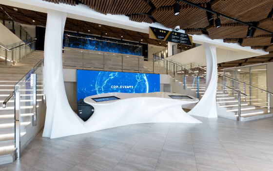 Цифровое Деловое Пространство