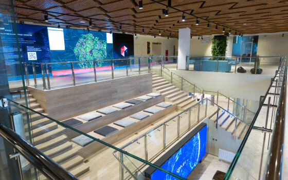 Цифровое Деловое Пространство