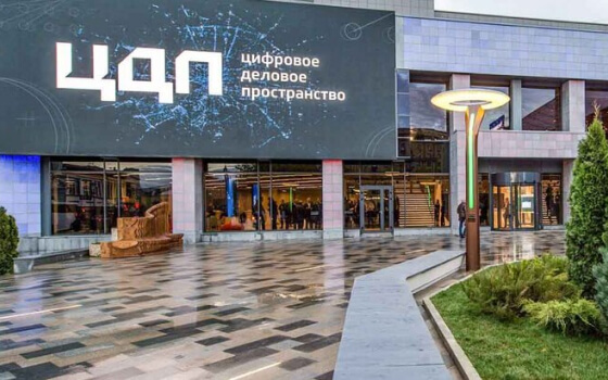 Цифровое Деловое Пространство